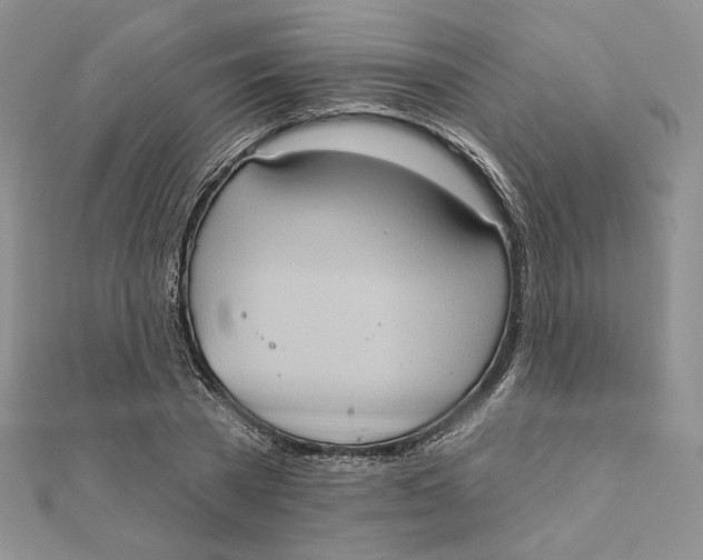 X0000112350785200909031848