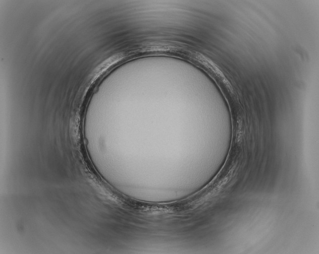 X0000112350786200909031848