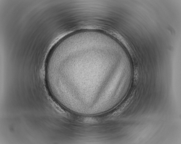 X0000112350787200909031848