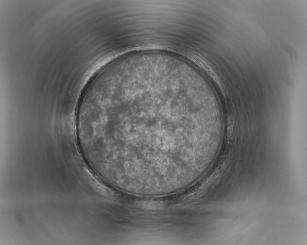 X0000112350789200909031848