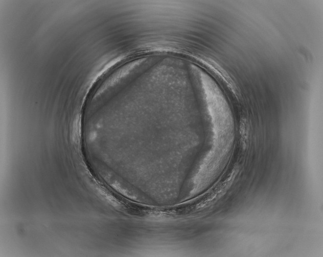 X0000112350790200909031848