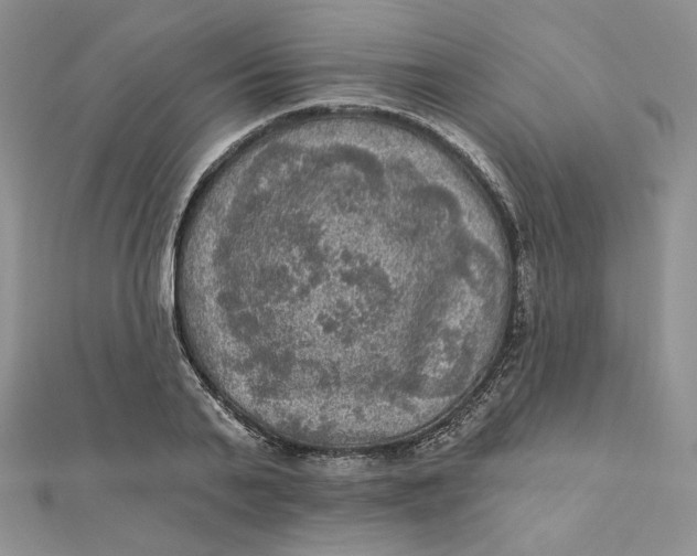 X0000112350791200909031848