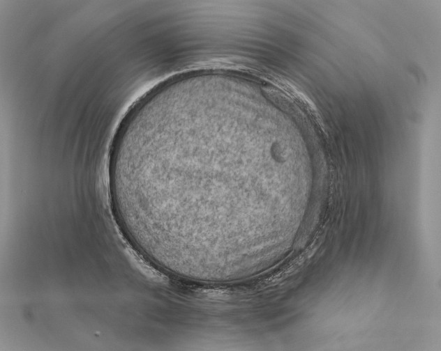 X0000112350792200909031848