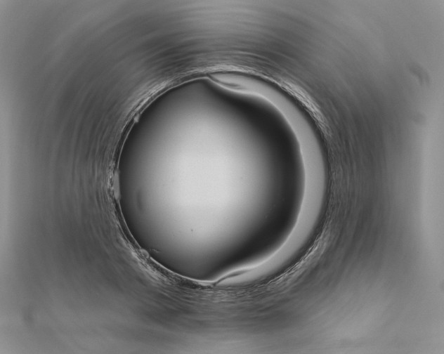 X0000112350793200909031848