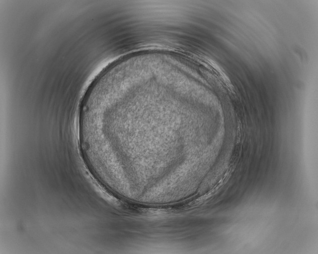 X0000112350796200909031848