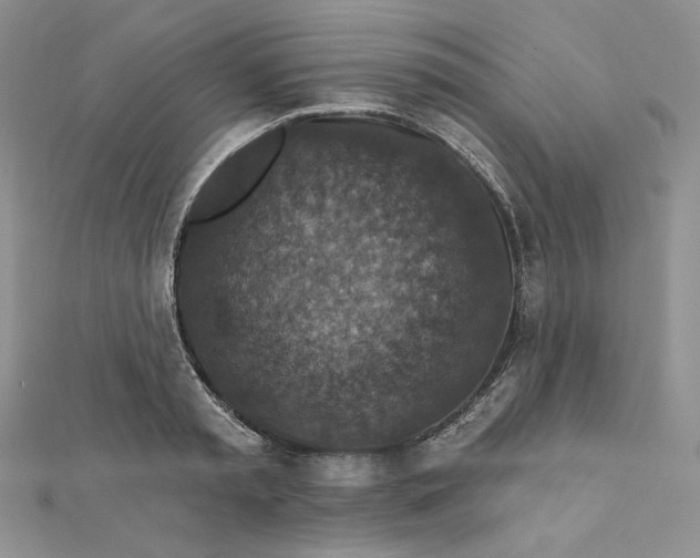 X0000112350797200909031848