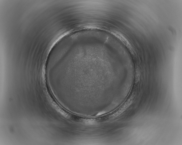 X0000112350798200909031848