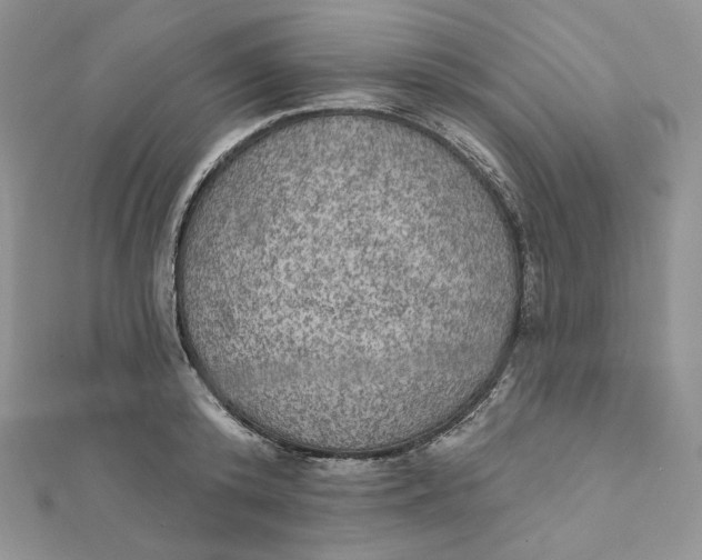 X0000112350800200909031848