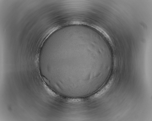 X0000112350801200909031848