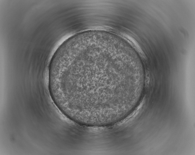 X0000112350804200909031848