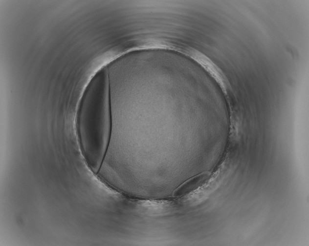 X0000112350805200909031848