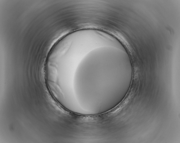 X0000112350806200909031848