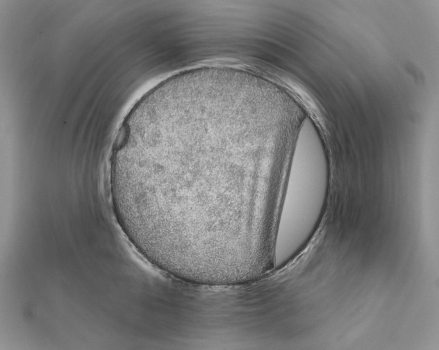 X0000112350808200909031848