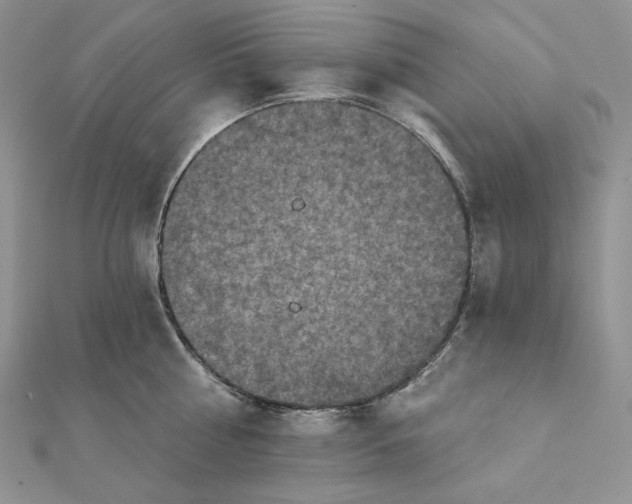 X0000112350810200909031848