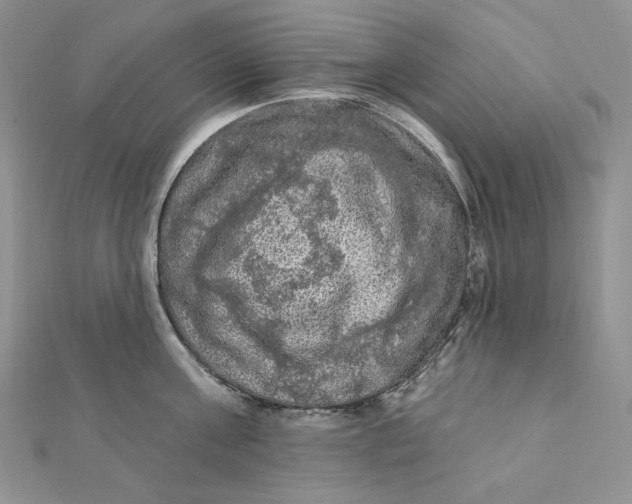 X0000112350811200909031848