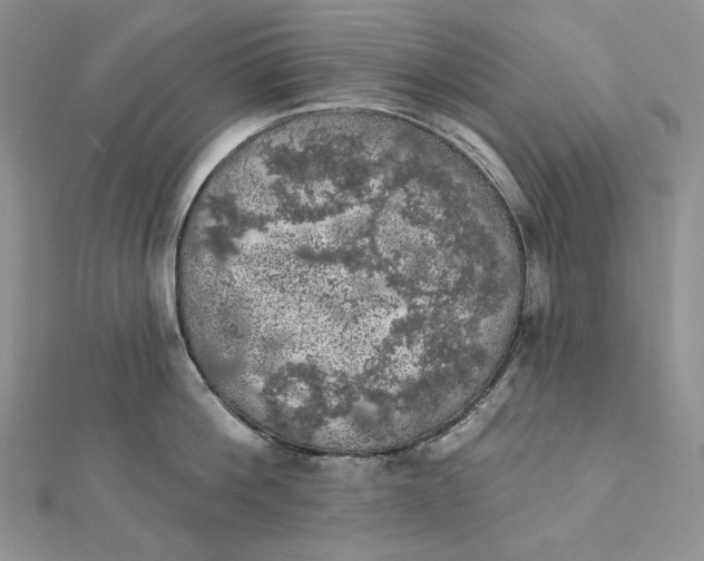 X0000112350812200909031848