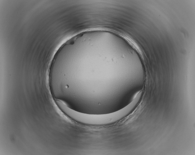 X0000112350813200909031848