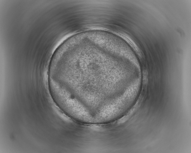 X0000112350814200909031848