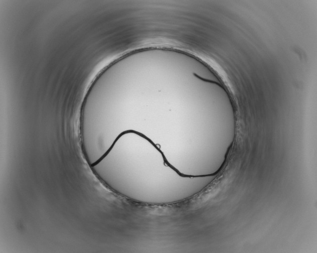 X0000112350815200909031848