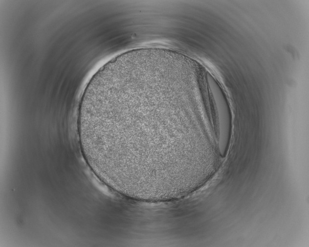 X0000112350816200909031848