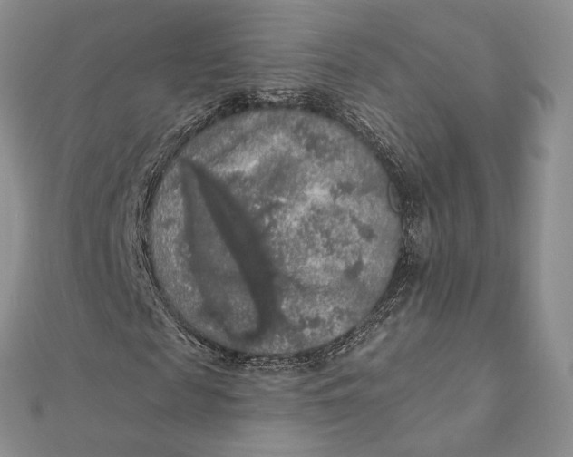 X0000112350817200909031847