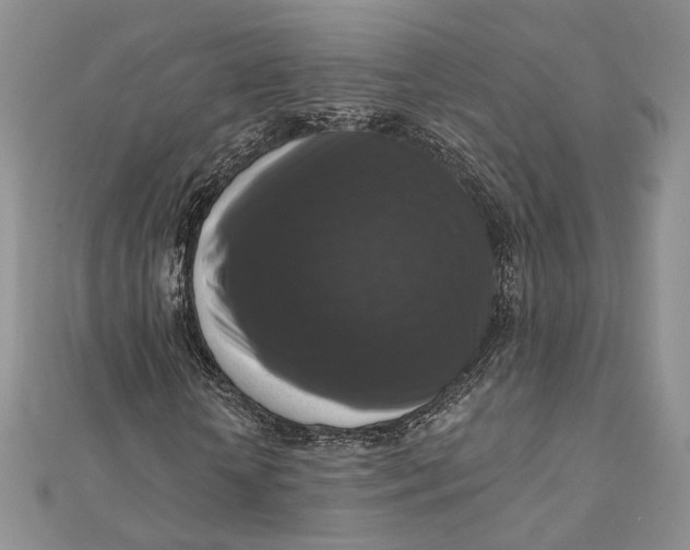 X0000112350818200909031847