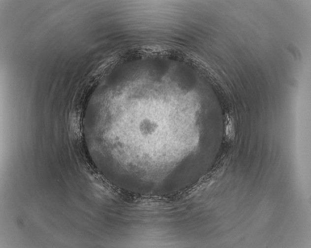 X0000112350819200909031847