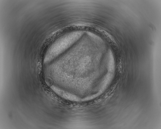 X0000112350821200909031847