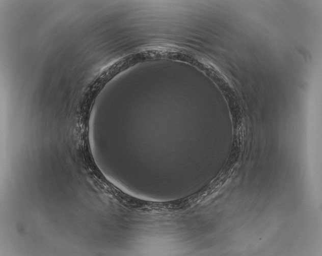 X0000112350822200909031847