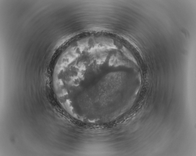 X0000112350823200909031847