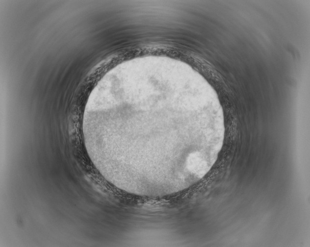 X0000112350824200909031847