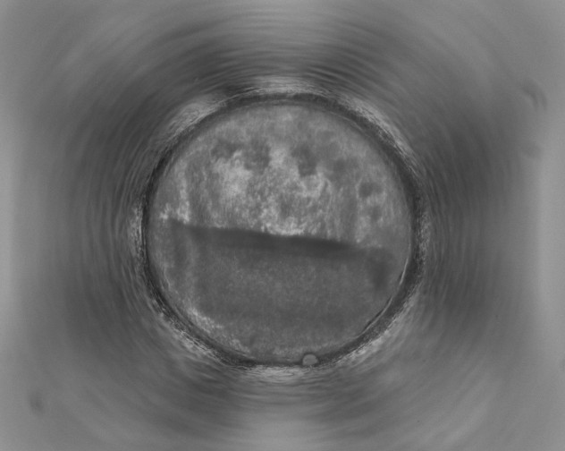 X0000112350825200909031847