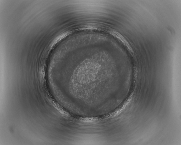 X0000112350826200909031847