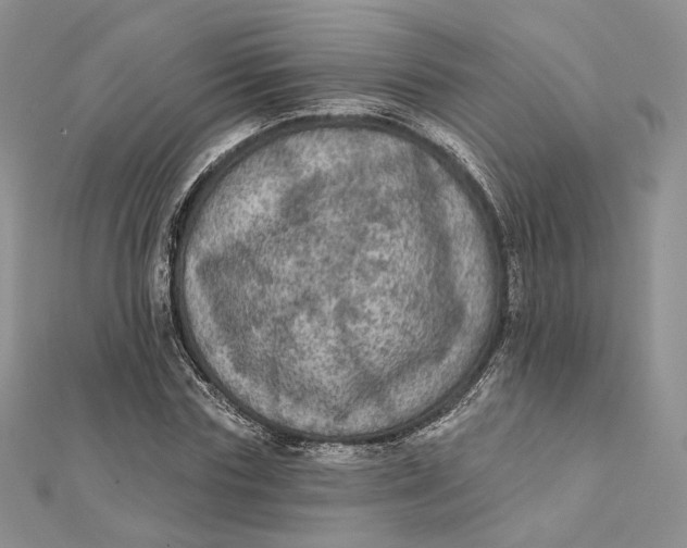 X0000112350827200909031847