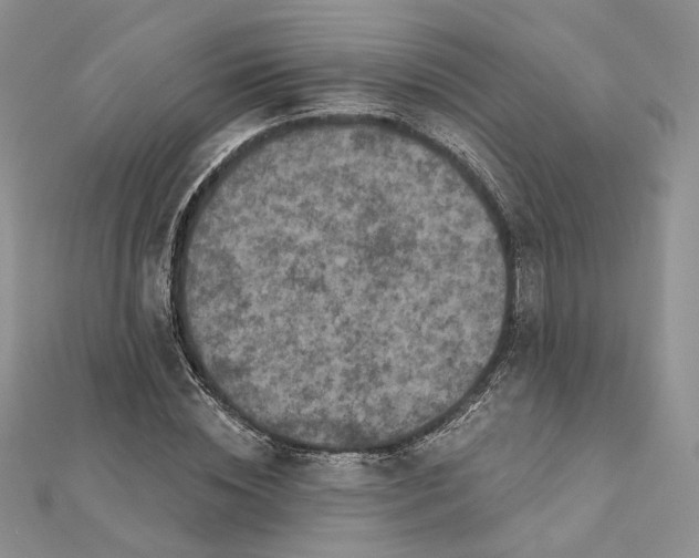 X0000112350828200909031847