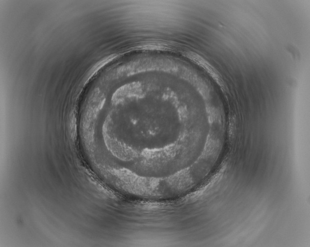 X0000112350829200909031847