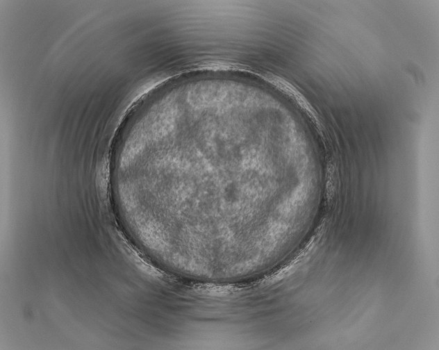 X0000112350831200909031847