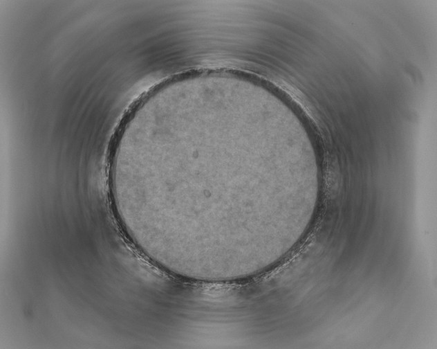 X0000112350832200909031847