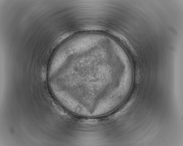 X0000112350833200909031847