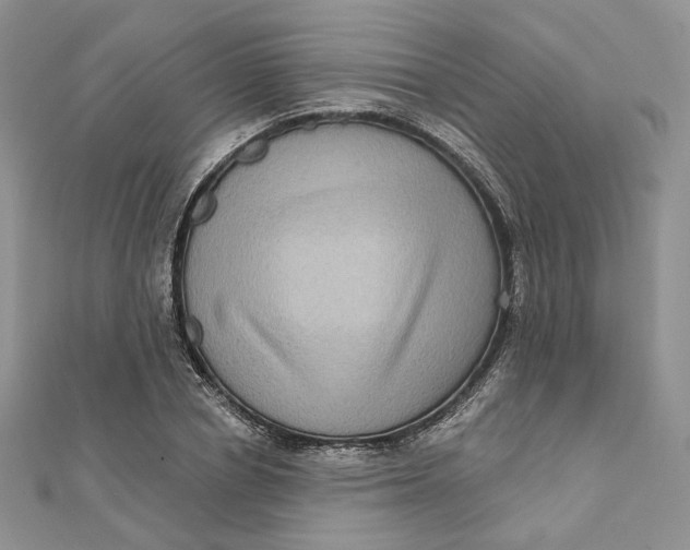 X0000112350834200909031847