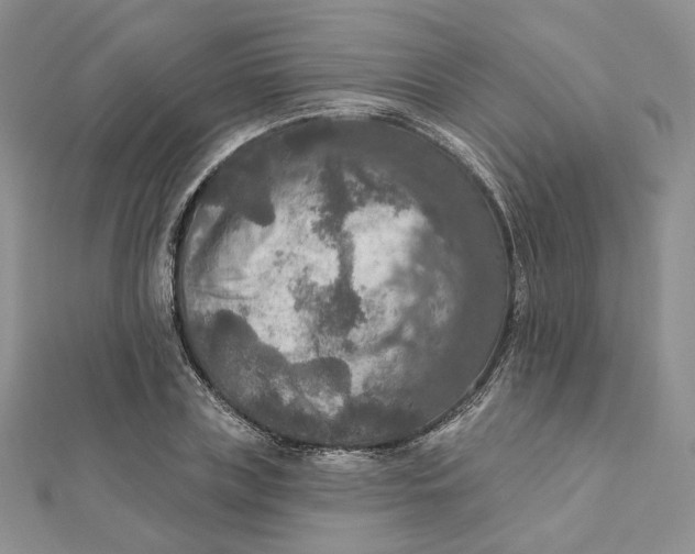 X0000112350835200909031847