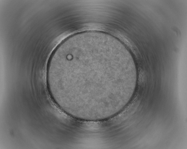 X0000112350836200909031847