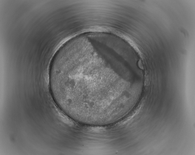 X0000112350837200909031847