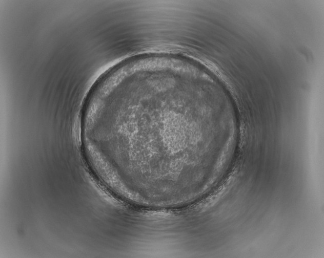 X0000112350838200909031847