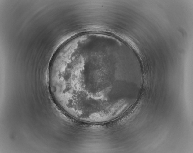 X0000112350839200909031847