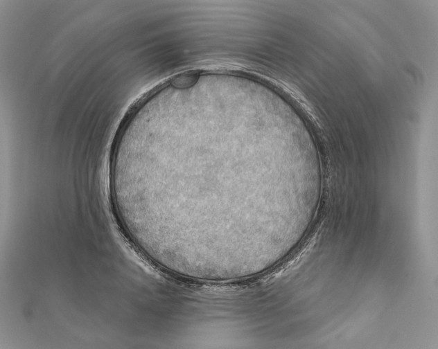 X0000112350840200909031847