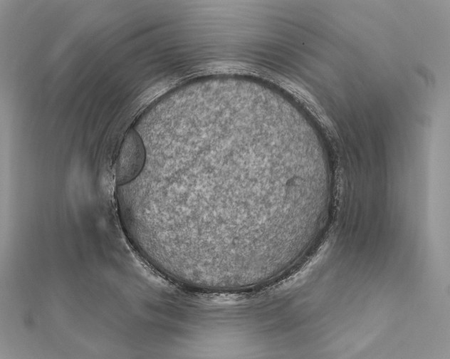 X0000112350841200909031847