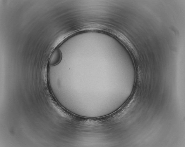 X0000112350842200909031847