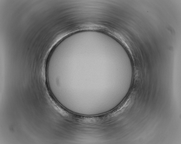 X0000112350843200909031847