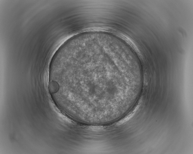 X0000112350844200909031847